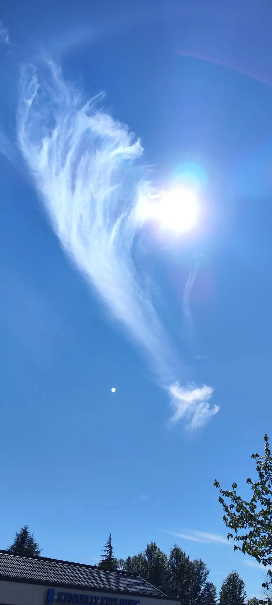 晴空中形如祥龍戲珠的雲景
