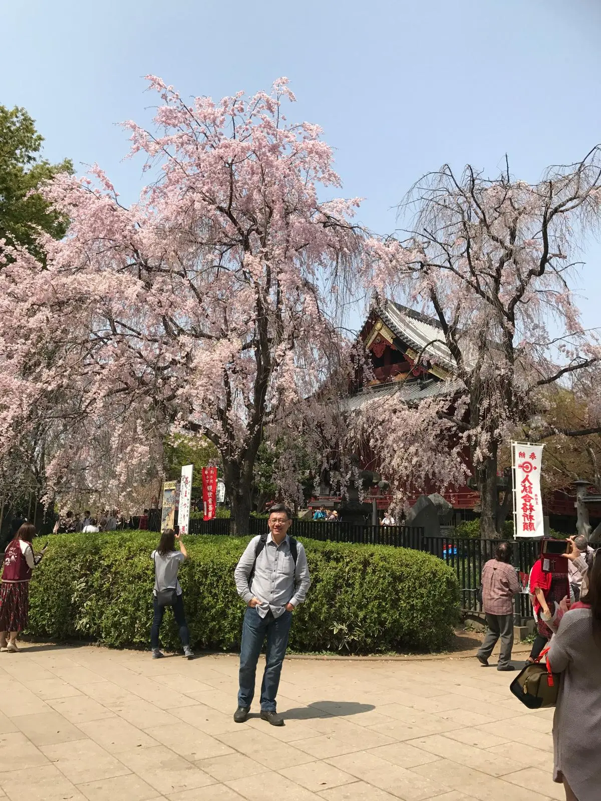 櫻花與安靜空間